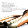 Vaughan Williams: Symphony No. 3 'A Pastoral Symphony' / Orchestral Works cover