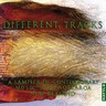 Different Tracks cover