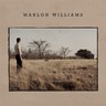 Marlon Williams cover