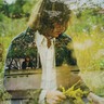 Primrose Green (LP) cover