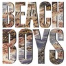 The Beach Boys (LP) cover