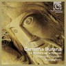 Carmina Burana - The Passion Play cover
