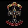 Appetite For Destruction (LP) cover