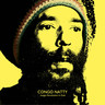 Jungle Revolution Dub (LP) cover