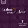 Bruckner / Brahms: Motets cover