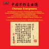 Chinese Evergreens cover
