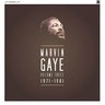 Marvin Gaye 1971 - 1981 cover