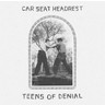 Teens Of Denial (LP) cover