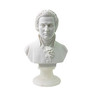 Mozart Composer Bust - 22cm cover
