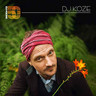 DJ Kicks (Double LP) cover
