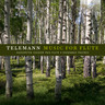 Telemann: Music for Flute cover