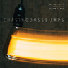 Chasing Goosebumps (LP) cover