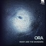 Many Are The Wonders: Volume 2 - Tallis cover
