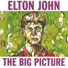 The Big Picture (2LP) cover