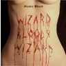 Wizard Bloody Wizard cover