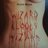 Wizard Bloody Wizard (LP) cover