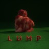 Lump (LP) cover