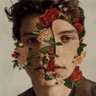 Shawn Mendes (Deluxe) cover