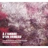 A l'ombre d'un ormeau cover