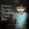 Working Class Boy Live (LP) cover