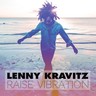 Raise Vibration (LP) cover