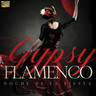 Gypsy Flamenco - Noche de la Fiesta cover