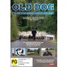 Old Dog cover