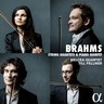 Brahms: Complete String Quartets & Piano Quintet cover