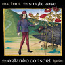 Machaut: The Single Rose cover