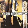 Dandy Warhols Come Down (Double Gatefold LP) cover