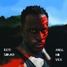 Abeg No Vex (Double LP) cover