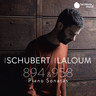 Schubert: Piano Sonata D.958 & 894 cover