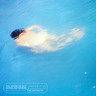 You Know I'm Not Going Anywhere (LP) cover
