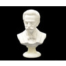 Strauss Composer Bust - 15cm cover