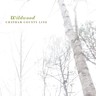 Wildwood (10th Ann. Translucent LP) cover