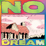 No Dream (LP) cover