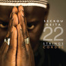 22 Strings (LP) cover