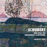 Schubert: Trio Opus 100, Sonatensatz & Notturno cover