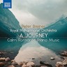 A Journey: Calm Romantic Piano Music, Vol. 2 cover