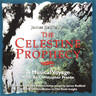 The Celestine Prophecy (A Musical Voyage) cover