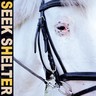 Seek Shelter (Indies Only Transparent Orange LP) cover