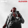 Old Gods cover