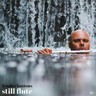 Still Flute (LP) cover