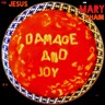 Damage And Joy cover