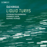 Ülo Krigul: liquid turns cover