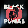 Black Pumas (LP) cover