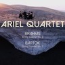 Bartók: String Quartet No. 1; Brahms: String Quartet No. 2 cover
