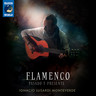 Flamenco - Pasado Y Presente cover