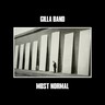 Most Normal (LP) cover