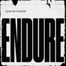 Endure (LP) cover